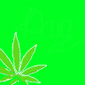 WorkingDrugs