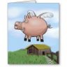 PigFlying
