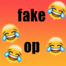 SpgtMcCoderDevFakeOp