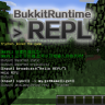 Runtime REPL