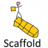 Scaffold