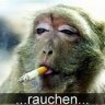 AntiWerbung (Skript)
