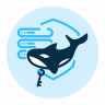 Keiko | Server security and plugins inspections