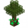 TreeTwerk