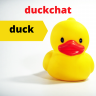 Duckchat