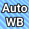 Auto Pause World Border