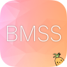 BlueMapSkinSupport