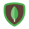 FastMongo (ODM - API) [by 360matt]