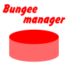 BungeeManager✨